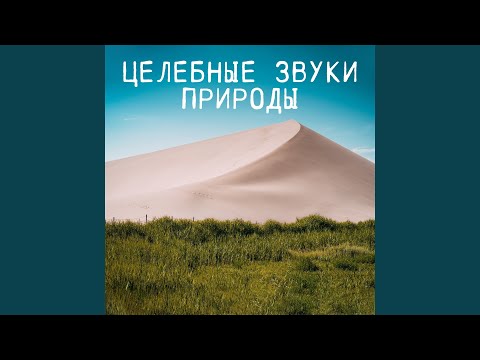 Академия Глубокой Релаксации - Удивительный отдых
