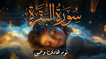 سورة البقرة طاردة الشياطين💚 بصوت هادئ ومريح جدا جدا 💚💤تلاوة هادئة للنوم والراحة النفسية 😴