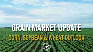 Grain Market Update - Corn, Soybeans & Wheat Price Outlook