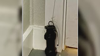 Brunswick police make evacuations after man falsely claims of grenade at apartment