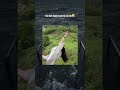 P36 |Thử làm Thạch Sanh và cái kết😂#viral #funny #haihuoc #shortsvideo