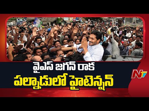 YS Jagan Tour | వైఎస్ జగన్ రాక.. పల్నాడులో హైటెన్షన్.. | NTV Telugu - NTVTELUGU