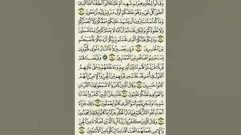 سورة فصلت من الآية ٢١ إلى الآية ٢٩بصوت القارئ ماهر المعيقلي