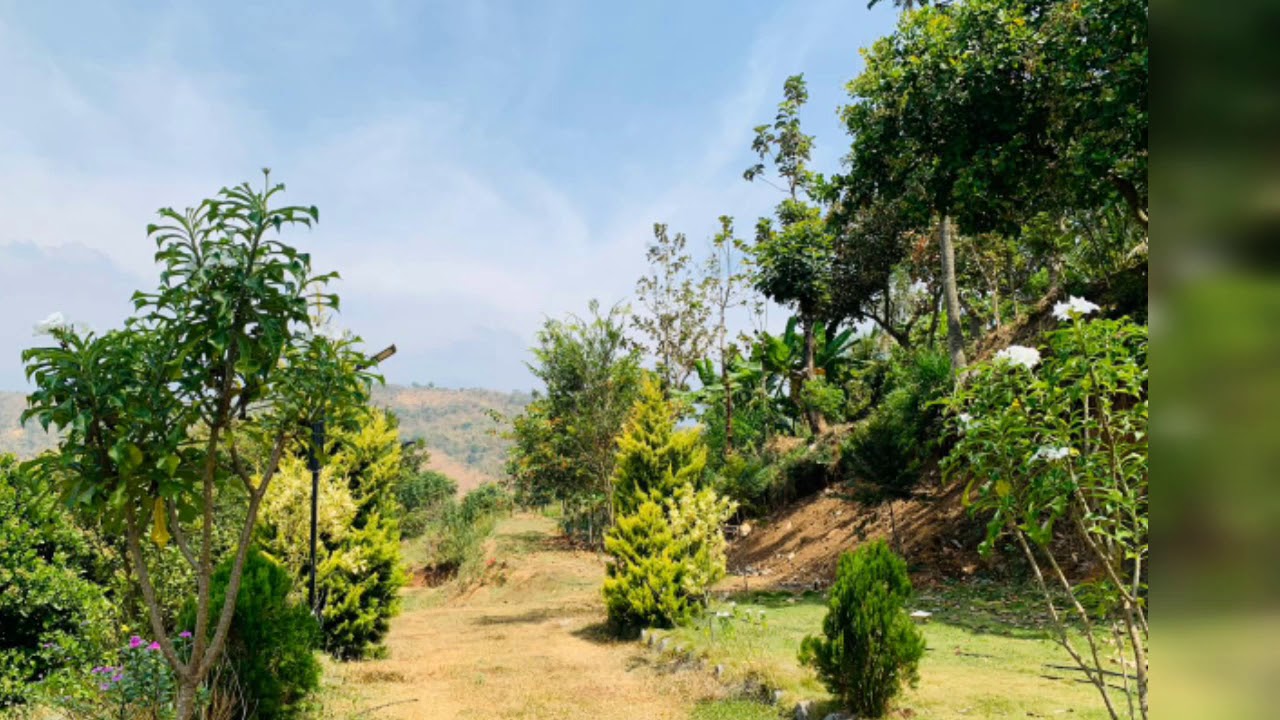 Agriculture land for sale Coimbatore 52 kms 8870088700 YouTube