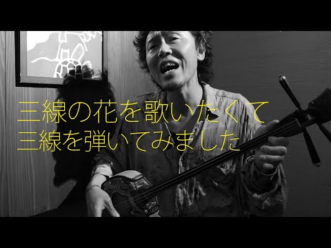 【三線】〜三線の花を歌いたくて三線を弾いてみました〜