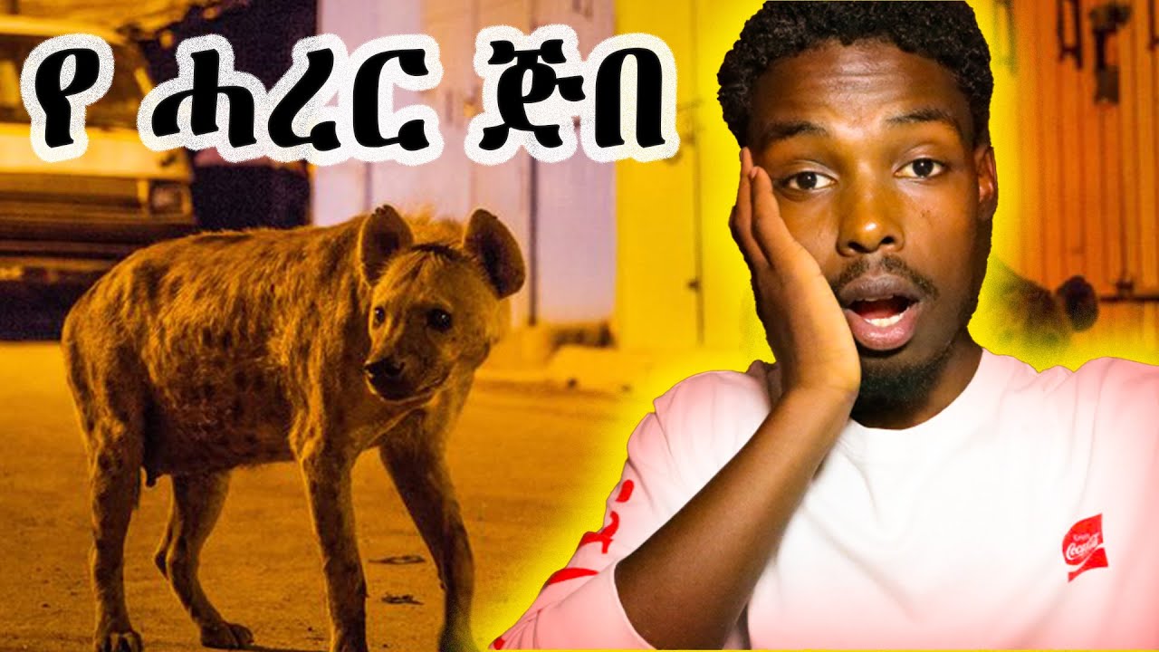 ሓረር ጅብ በልቶኝ ነበር || Harar Hyena 