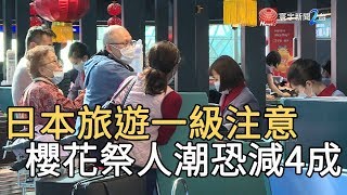 日本旅遊一級注意櫻花祭人潮恐減4成｜寰宇新聞20200215