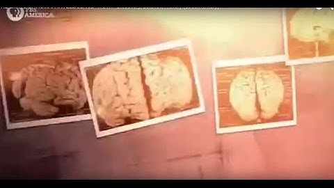 BBC Documentary 2017 - Fractals - The Hidden Dimension (Nova Science Documentary)