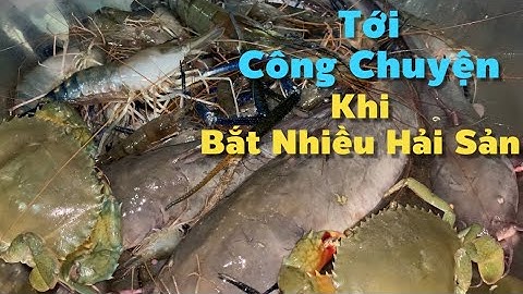 Một Ngày Trúng Mánh Rất Nhiều Loại Hản Sản Trên Sông Hậu Nấu Bửa Cơm Ngon Bên Chòi Lá | Cldv #935