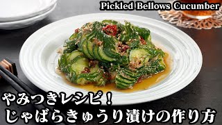 Bellows pickled cucumber | Easy recipe at home related to culinary researcher / Transcript of Yukari&#39;s Kitchen&#39;s recipe