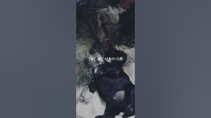 Як це мило