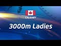 3d ISU Speed Skating World Cup Calgary, 3000m Ladies (December 1, 2017) Арена HD