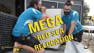 Mega Red Sea Relocation!