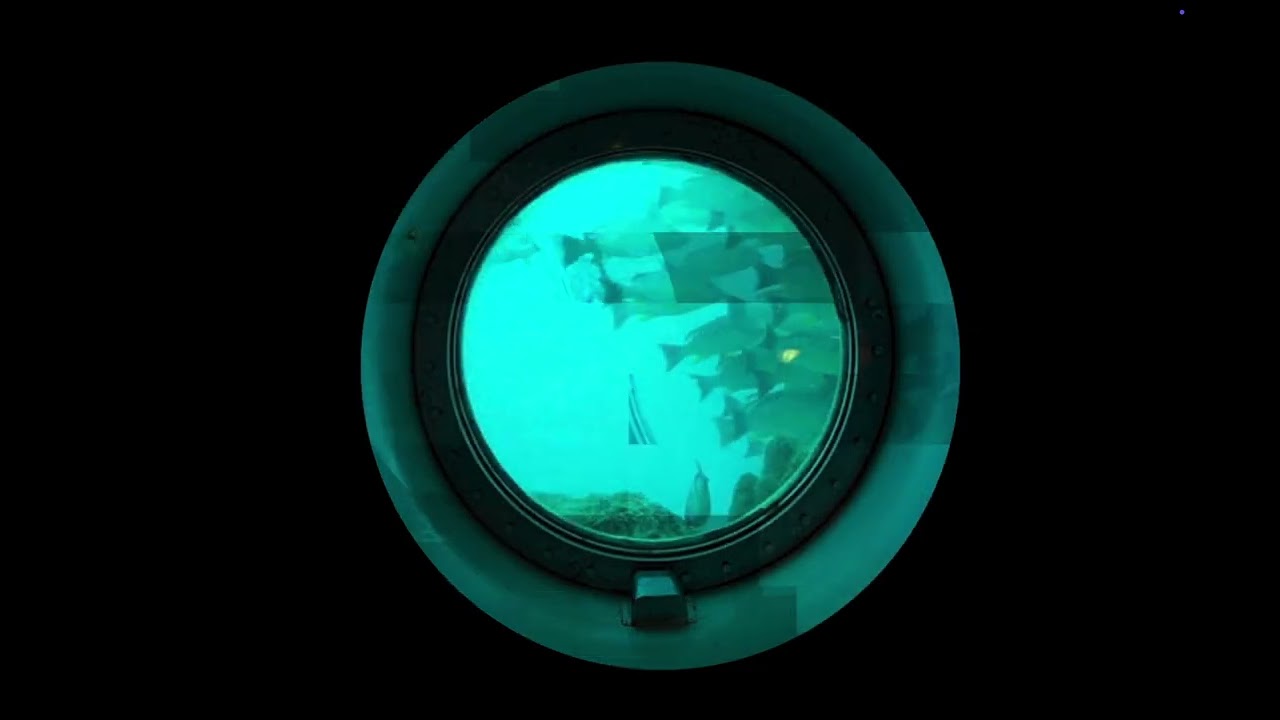 TwoFish - Digital Submarines