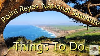 Point Reyes National Seashore| Things to do