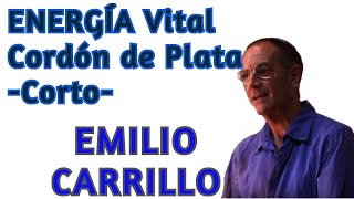 CORDON De PLATA ENERGIA VITAL ▬ EMILIO CARRILLO▬ (CORTO )🌻