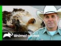 Game Warden Investigates The Shooting Of A Protected Hawk | Lone Star Law