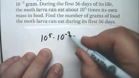 Exponents and Roots Story Problems 5 Moth Larva Feeding - Tutor Algebra