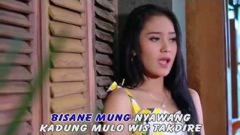 VITA ALVIA BISANE MUNG NYAWANG