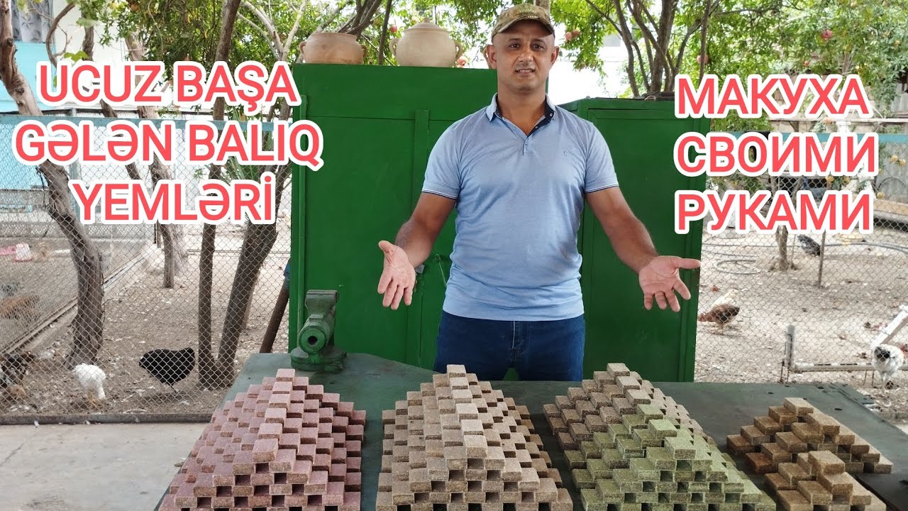 ÇİYƏLƏKLİ YEMİN TƏRKİBİNİN HAZIRLANMASI. BALIQ YEMİNİN HAZIRLANMASI Balıq jımıxı. 4-5 mərtəbəli üçün