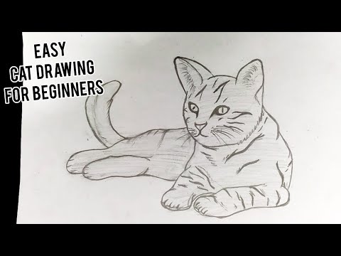 How to Draw an Anime Cat - Easy Step by Step Tutorial