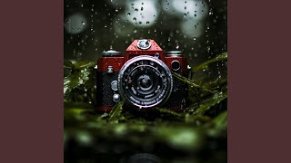 Rain Focus Harmony