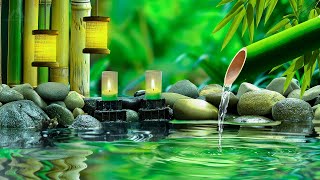 Beautiful Piano Music  Bamboo, Relaxing Music, Nature Sounds, Relieves Stress Music, Calming music