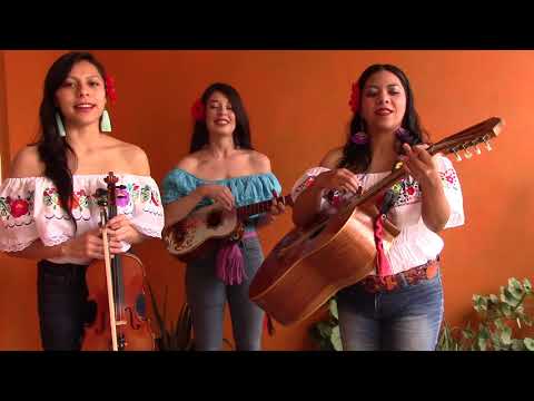 El apasionado - Nicandro Castillo