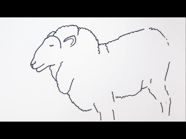 簡単 ひつじの描き方 イラスト お絵描き Easy How To Draw A Sheep Illustration Drawing Youtube