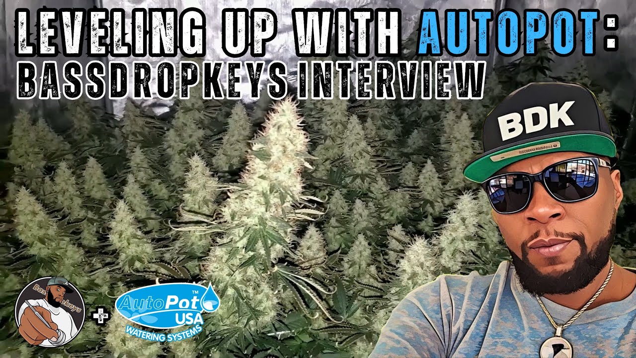 Leveling Up With AutoPot: Bassdropkeys Interview