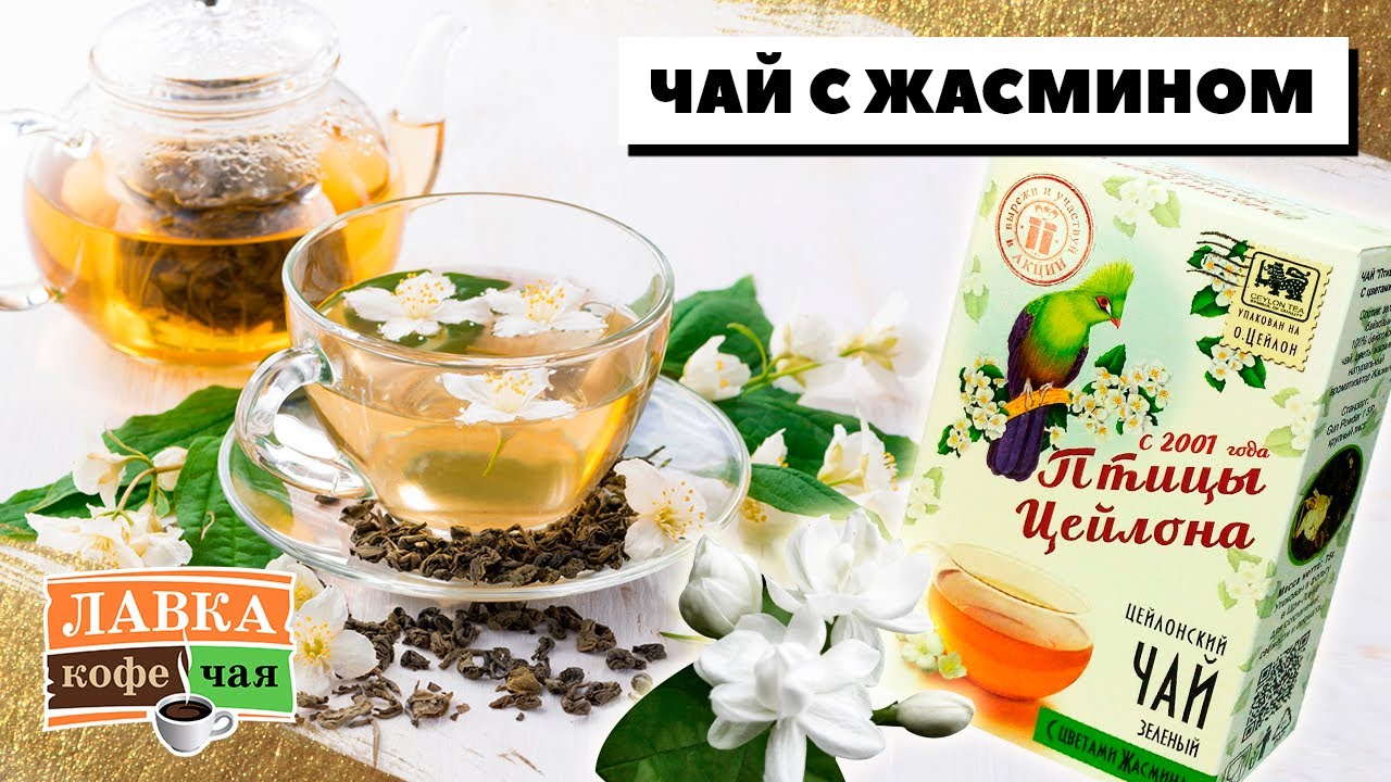 Чай с жасмином - польза и вред антистресс напитка. Пробуем зеленый ...