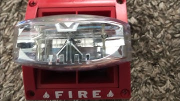 System Sensor MASS ADA 800hz Continuous Synth