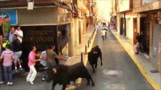 Video thumbnail of "THE SHADOWS Lonely bull (El solo toro)"