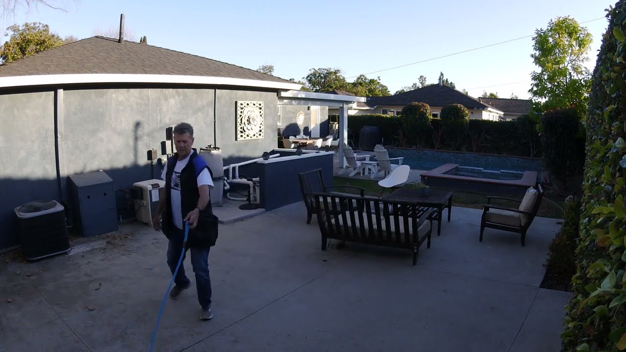 Zeke the GSD scent games