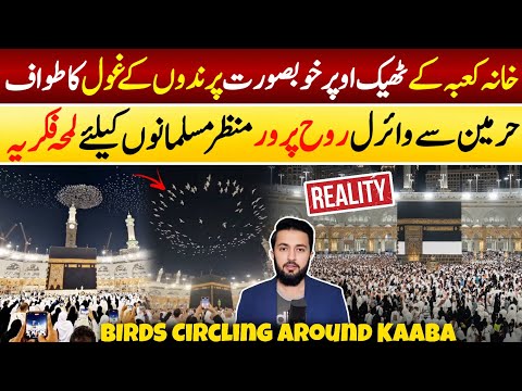 Birds Over Kaaba - Most Viral In Haram | Pigeons Flying | Makkah Today Video 2026 September