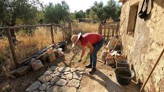 Horta Ana Reina, Mais obras na Casinha da horta