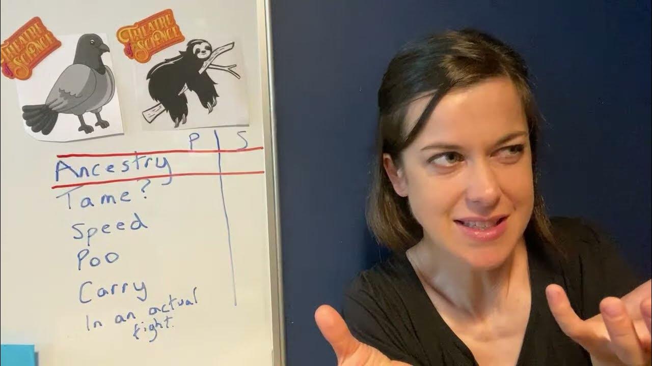 Science Show: Sloths vs Pigeons! Interactive, with Lego story time