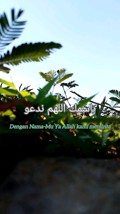 Doa Pagi🌄 | Hijjaz | #islamic  #doa #doapagi #shorts