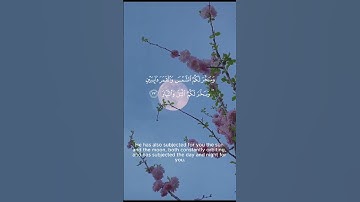 تلاوة من سورة إبراهيم إسلام صبحي  #المصحف #koran #quran #اكسبلور #راحة_نفسية #قرآن #قران_كريم #