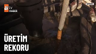 Gabarda Petrol Üretimi Rekor Kırdı - Atv Ana Haber 11 Nisan 2024