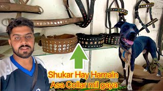 Commandu k Leye Special Pata ( Collar ) Banwa Liya / Dog Accessories/ Pets Vlogs / Punjabi Shok Vlog