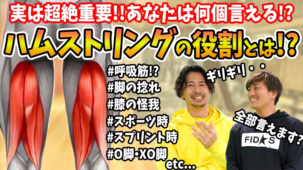 【ハムストリング】超重要！パフォーマンスはもちろん呼吸や膝の怪我にも関わるハムストリングの機能やコンディショニングをどこよりもわかりやすく解説！ #youtube解剖大学 #ハムストリングス編