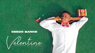 Ceedo Banks - Valentine (Visualizer)