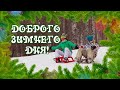 Хорошего дня С добрым зимним днем Отличного настроения Открытки добрый день