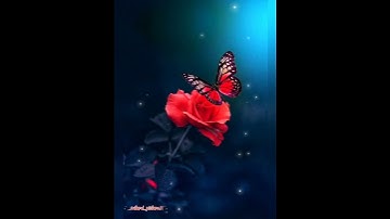 Thumbnail of most beautiful butterflies #butterfly #butterflies #beautiful #flowers #natural #shortvideo #shorts