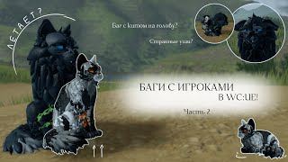 :     WC:UE! |     ? | Warrior Cats: Ultimate Edition