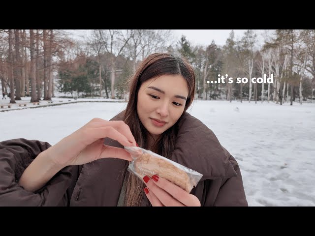 christmas in hokkaido ❄️☃️