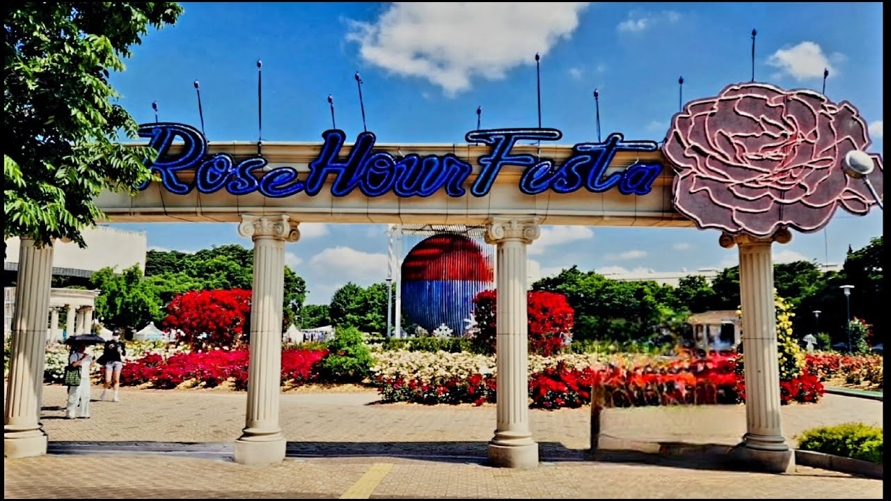 장미광장 2023  #올림픽공원 장미축제 #자연풍경 #Royalty free video