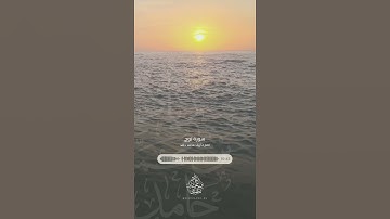 ﴿فقلت استغفروا ربكم إنه كان غفارا﴾ || سورة نوح || القارئ زياد حامد