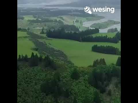 #stuckonyou#wessing#music#coversong#musikvidio#liriklagu#lifestyle 